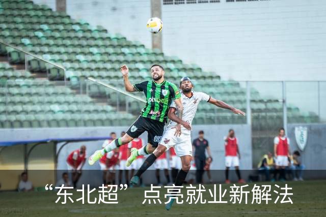“东北超”点亮就业新解法