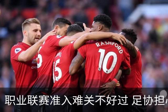 职业联赛准入难关不好过 足协担心并不是多余