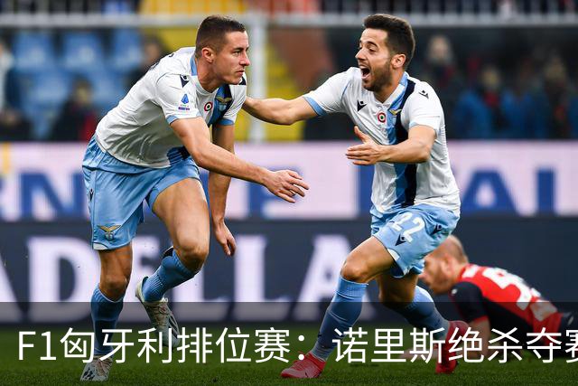 F1匈牙利排位赛：诺里斯绝杀夺赛季正赛首杆，汉密尔顿第二